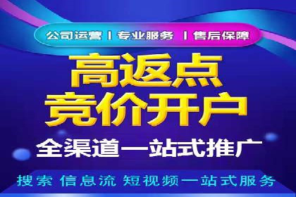 探索sem代运营机构的成功策略：多案例分析